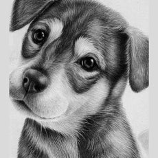 Handmade Pet Portraits:Dogs and Cats in Realistic Pencil Art