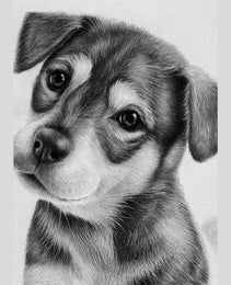 Handmade Pet Portraits:Dogs and Cats in Realistic Pencil Art