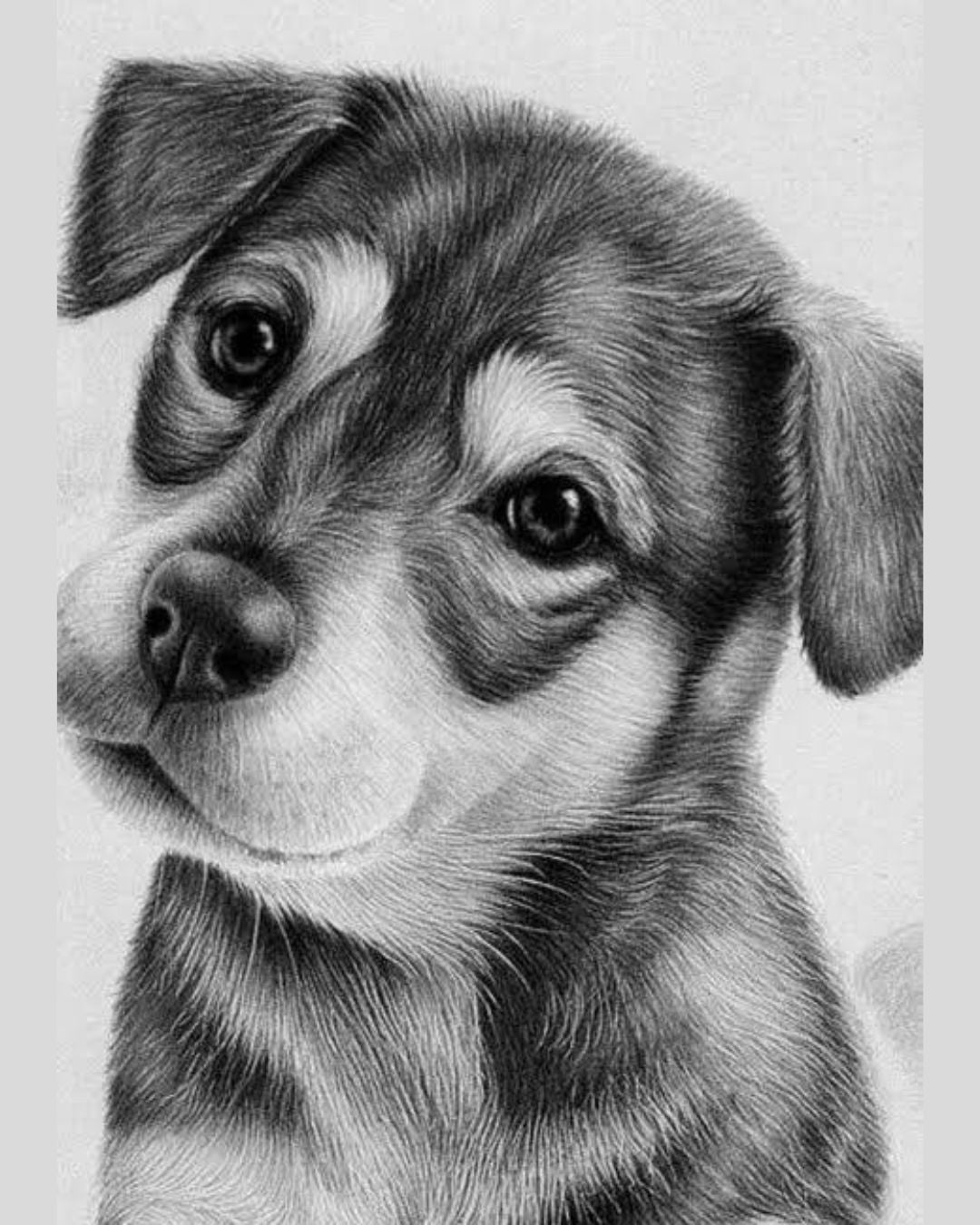 Handmade Pet Portraits:Dogs and Cats in Realistic Pencil Art