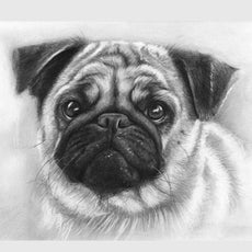 Handmade Pet Portraits:Dogs and Cats in Realistic Pencil Art