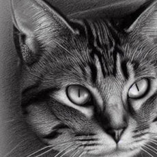 Handmade Pet Portraits:Dogs and Cats in Realistic Pencil Art