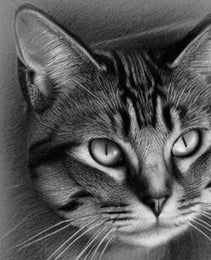 Handmade Pet Portraits:Dogs and Cats in Realistic Pencil Art
